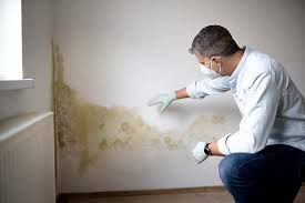 Best Water Damage & Mold Remediation in Milan, OH